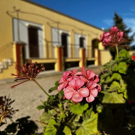 Agriturismo Il Trappeto Gallipoli Exteriér fotografie