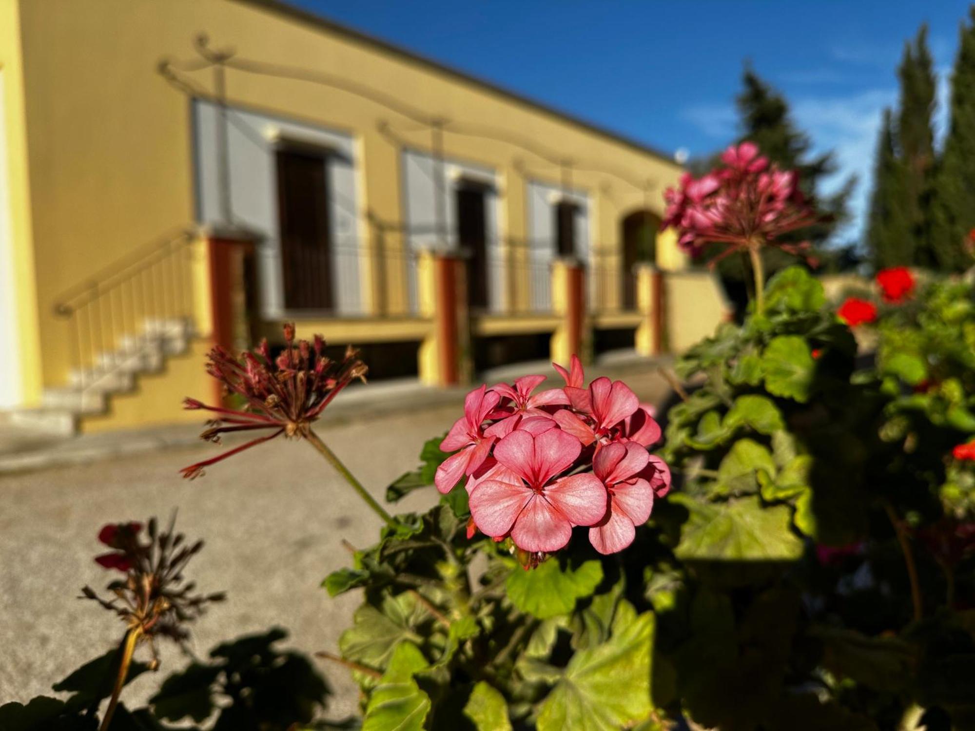 Agriturismo Il Trappeto Gallipoli Exteriér fotografie