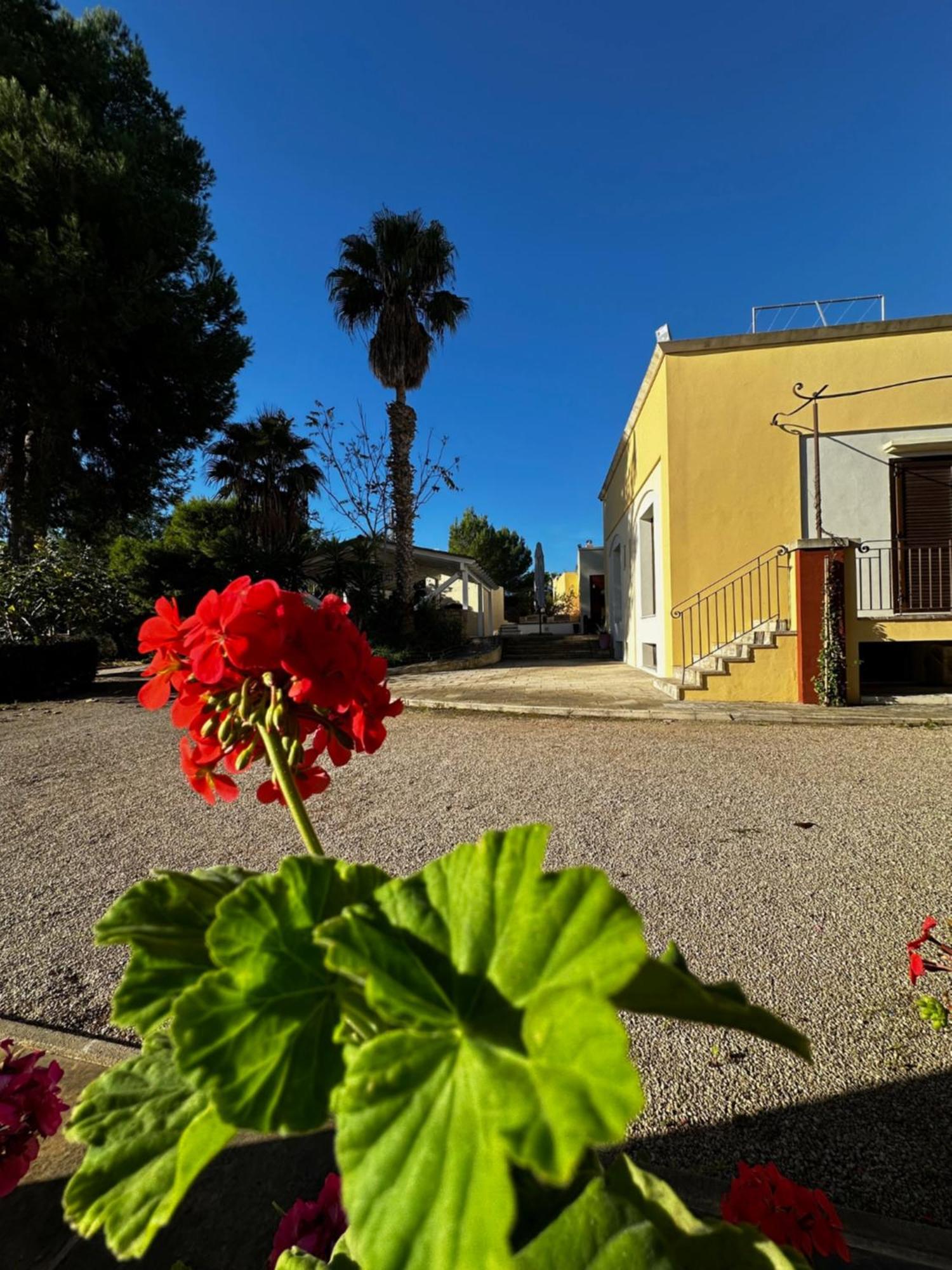 Agriturismo Il Trappeto Gallipoli Exteriér fotografie