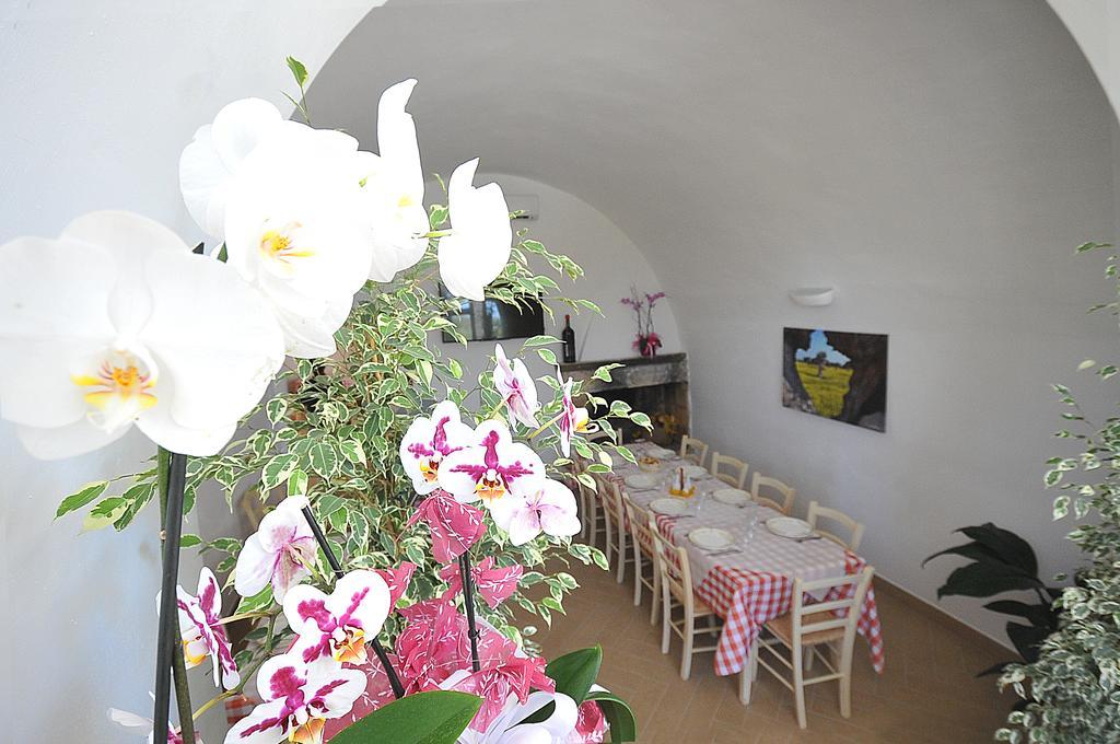 Agriturismo Il Trappeto Gallipoli Exteriér fotografie