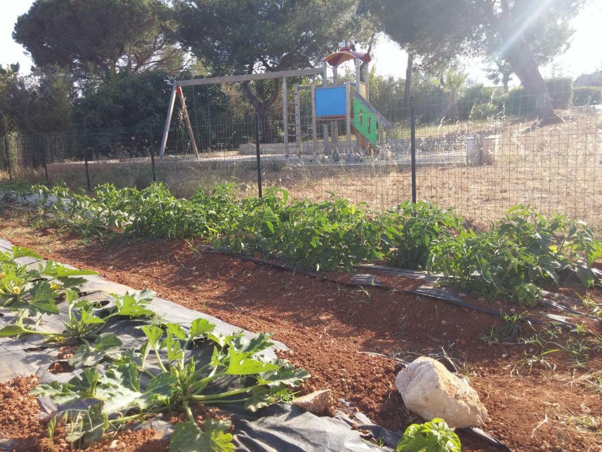 Agriturismo Il Trappeto Gallipoli Exteriér fotografie